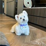 Carmina Valadez Avatar