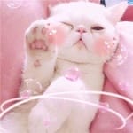 Nadia Carrillo Avatar